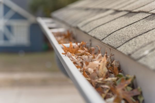 Leaf Barrier Installation in Murphy