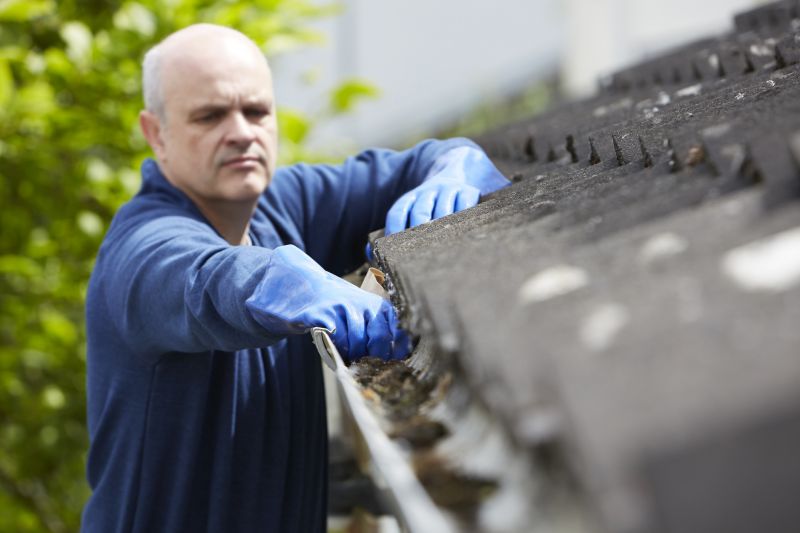 Clean Gutters with Covers